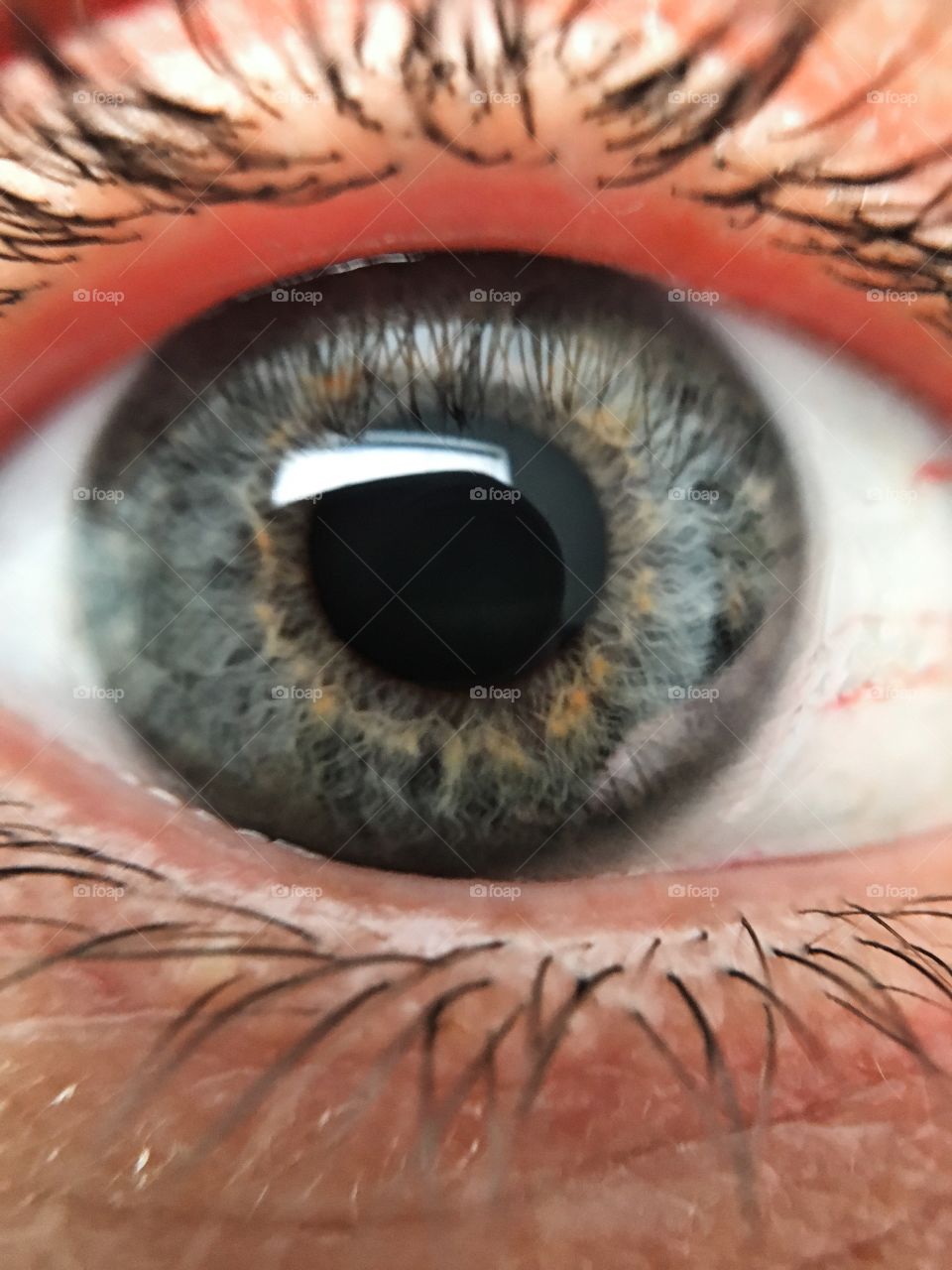 Beautiful Eye