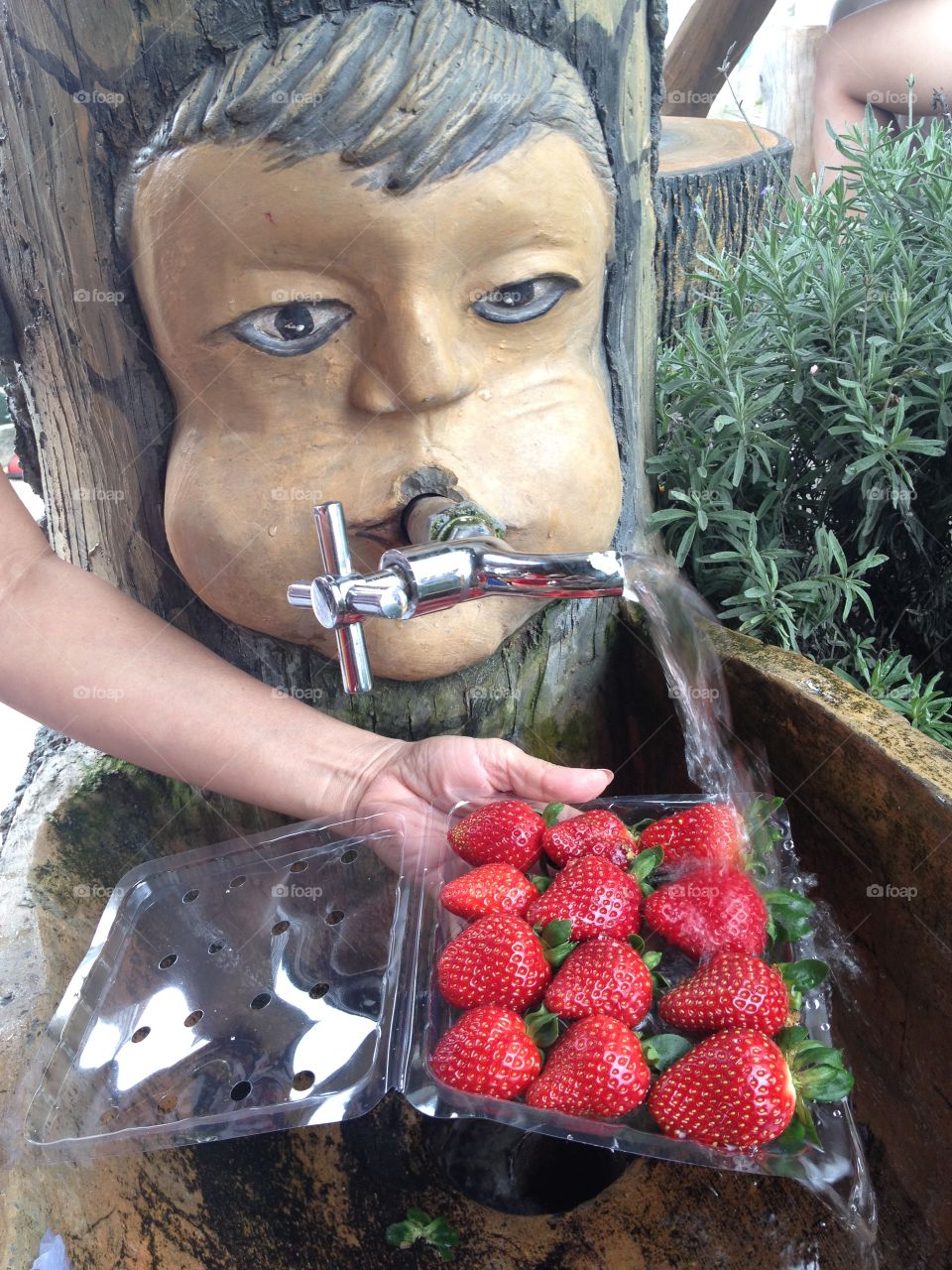 Self picked strawberries 😋🍓