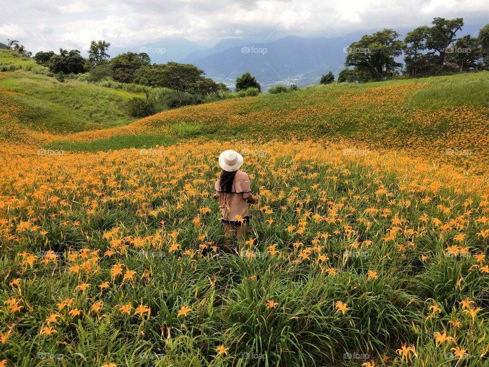 a breAt taking view of a flower farm. in a high altitude of the mountain.