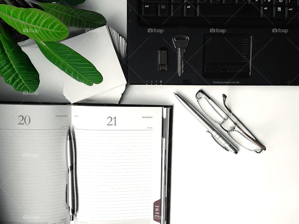 Business accessories on white background - calendar, notebook, flash drive, key, notes, pen, glasses and green plant 