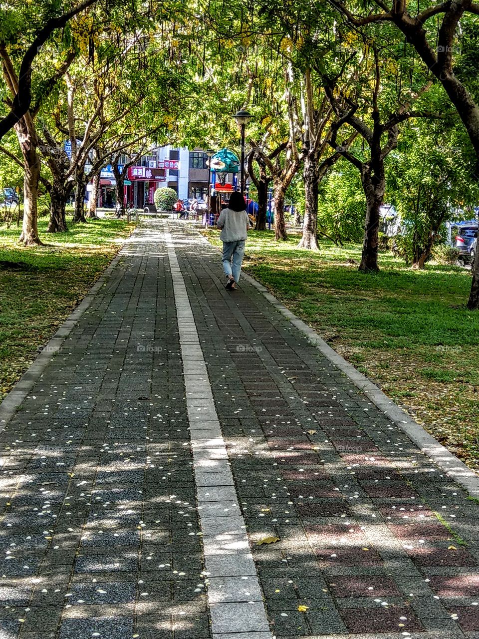 It's summertime: you can take a walk in the Taichung City parkway, enjoying cool feeling, breez and beautiful yellow fallen flowers of Golden shower tree.