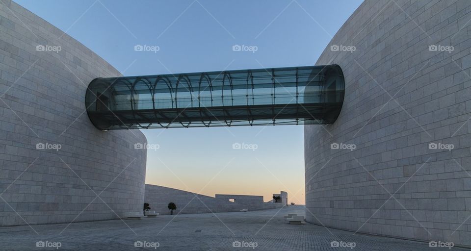 Champalimaud Foundation