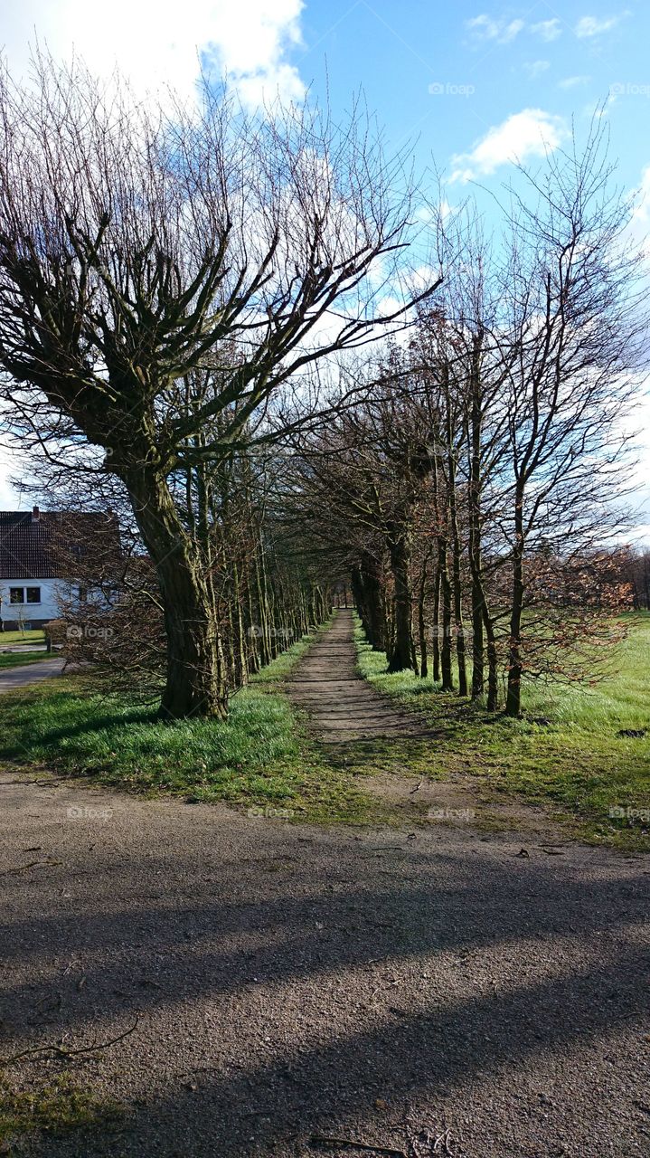 A path 