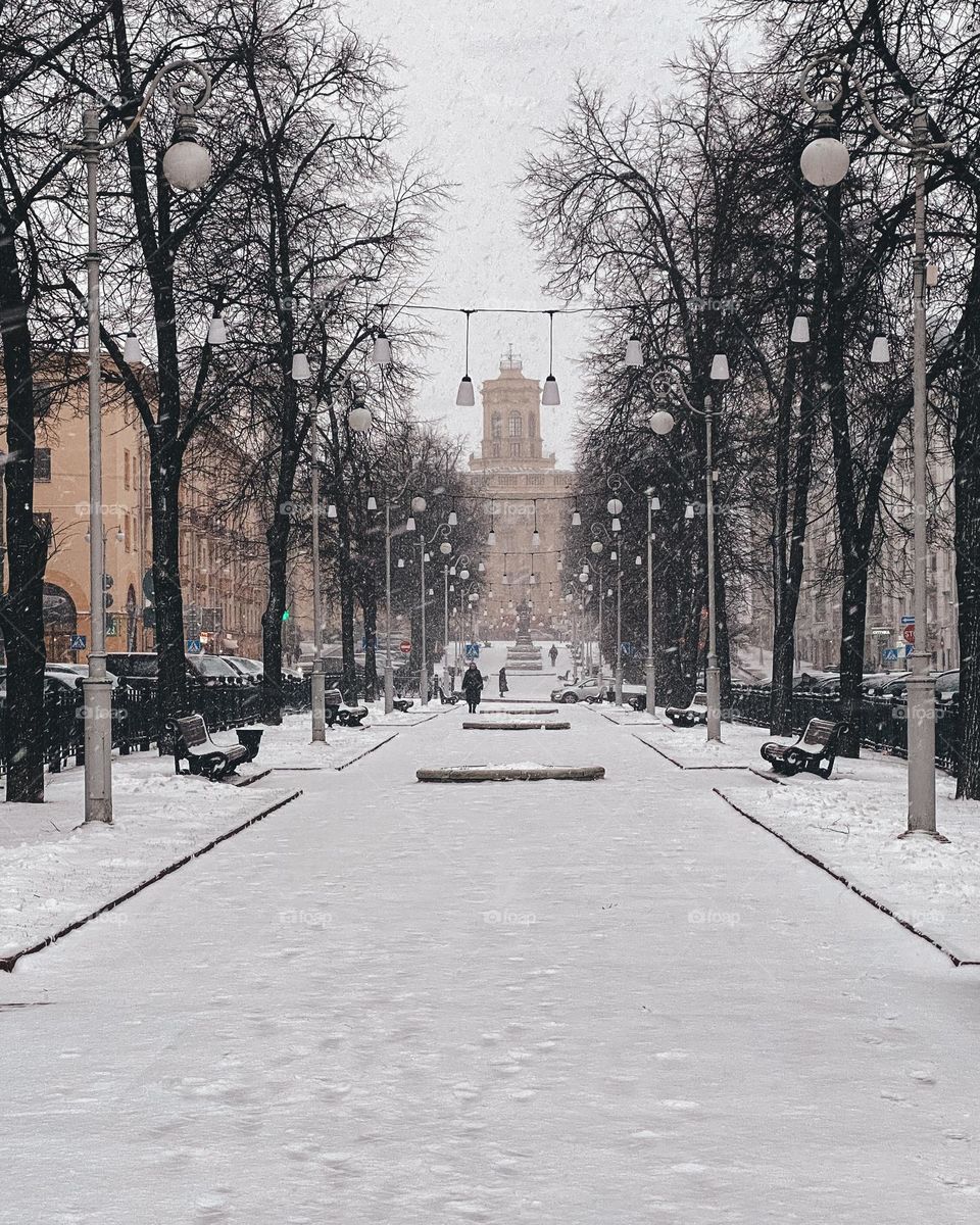 Beautiful alley of the city park during snowfall.