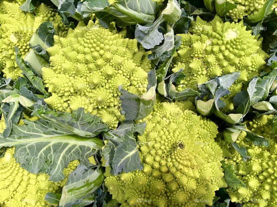 Romanescu.