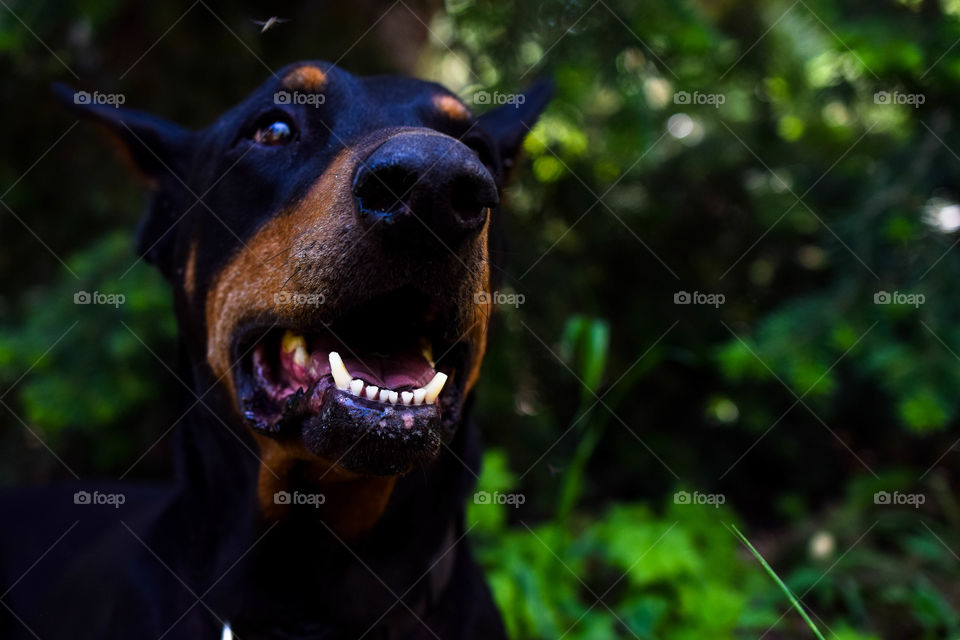 Relaxing in the shade 