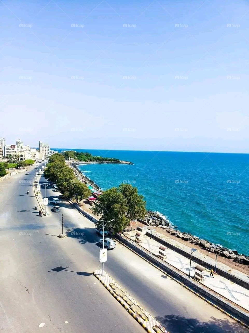 A very beautiful picture, and there is no better picture than it. There is no better picture of green herbs and colorful, red and white roses than it. Glory be to God, the natural and picturesque view, and there is no more