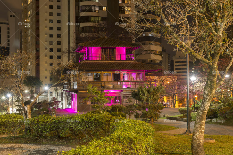 Japanese square at night.