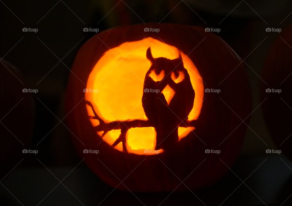 Carved owl pumpkin