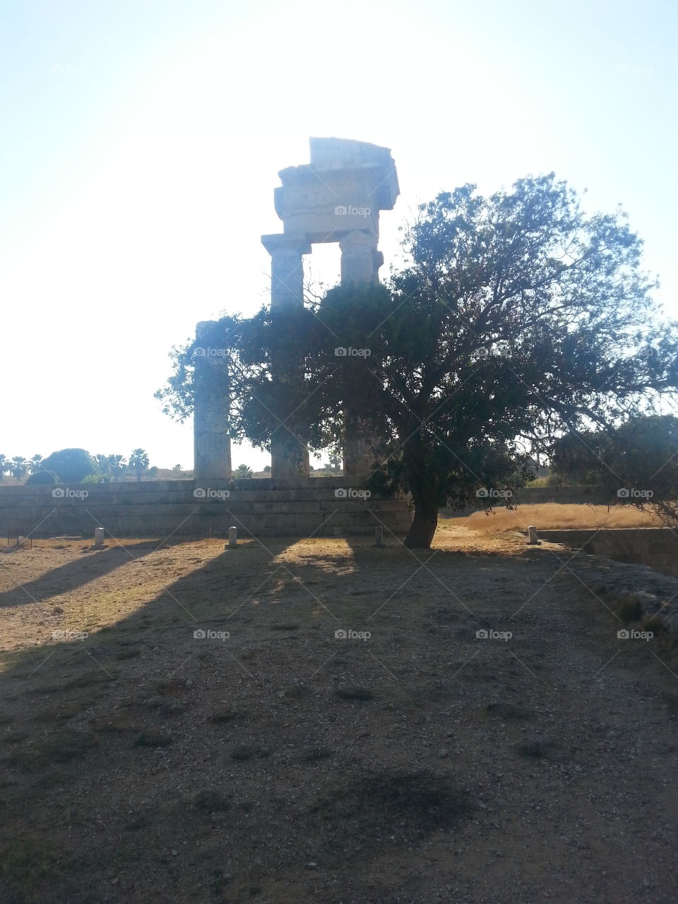 Acropolis trying to hide. the acropolis of Rhodes is a wonderful spot where my girlfriend and I hiked up to to see the northern part of the island