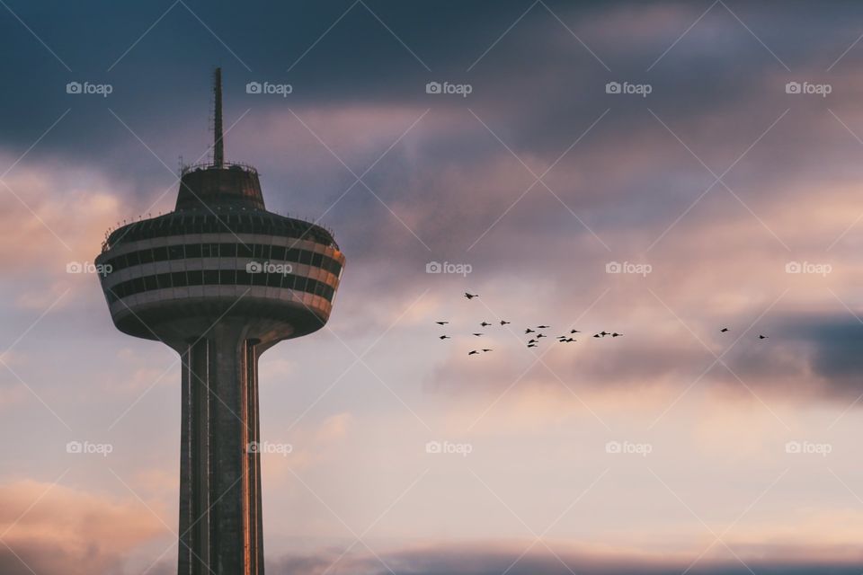 flying birds towards a tower
