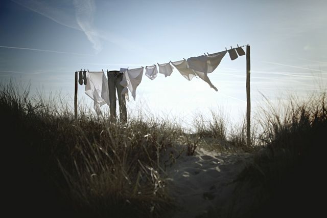 Wash in the wind 