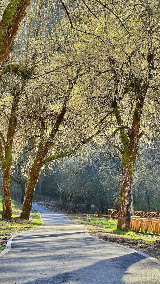Beautiful day