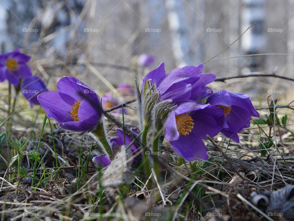 Красоты Кузбасса