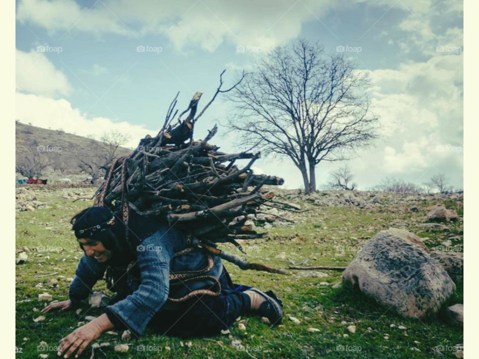 Hardworking and hardworking mothers and women who are putting their men on their feet to live their lives and survive the cold and exhausting winter collecting firewood to keep their homes and families warm and their life's oven
