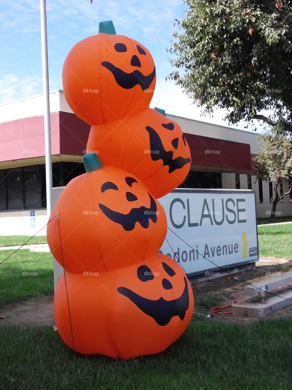 Stack of pumpkins