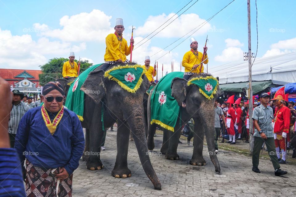 elephant army of Yogyakarta palace
