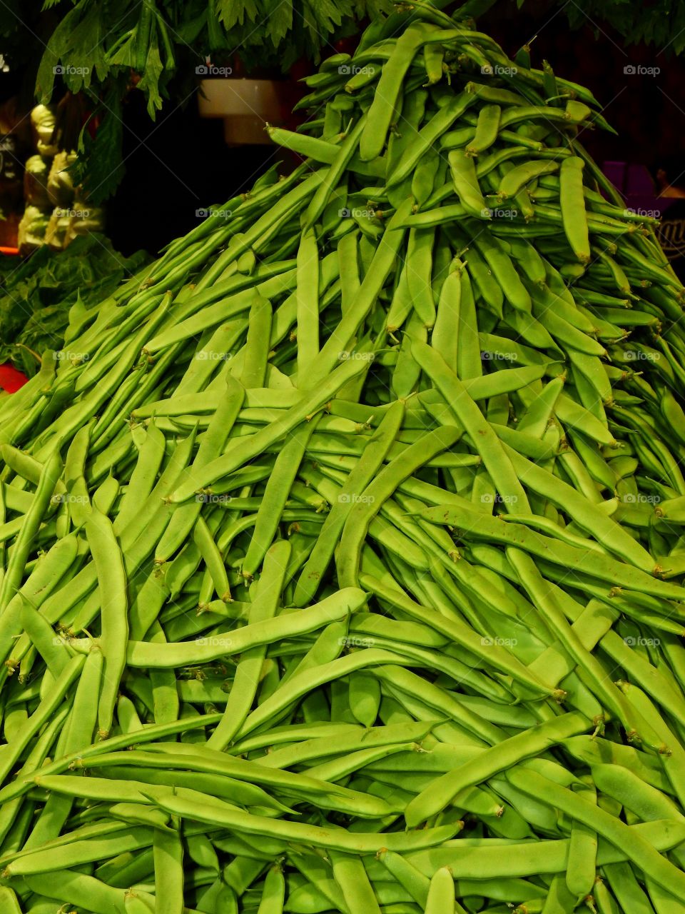 A pile of beans