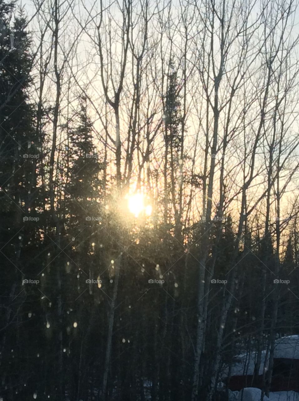 Sunset in the country
