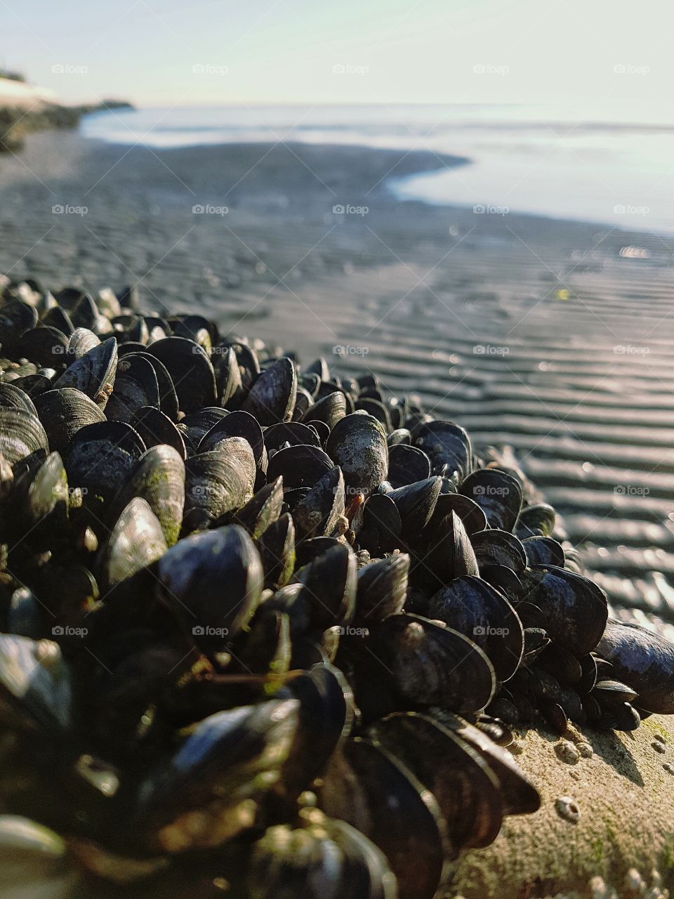 at the beach