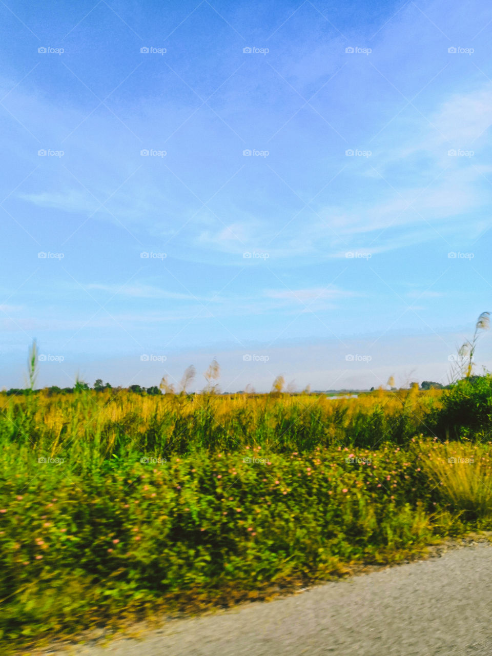Clear sky, warm weather and nice view while driving.