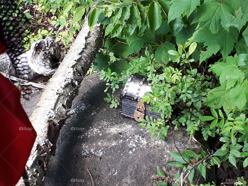 Pirate treasure chest