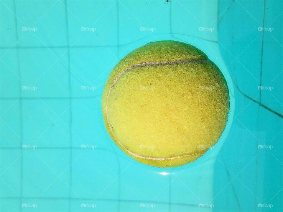 Contrasting objects:  A tennis ball in a pool