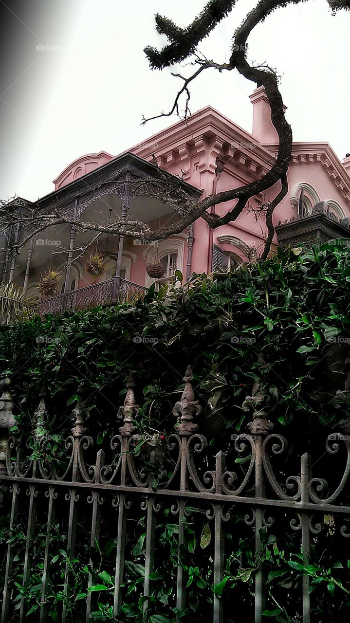 Pink Haus