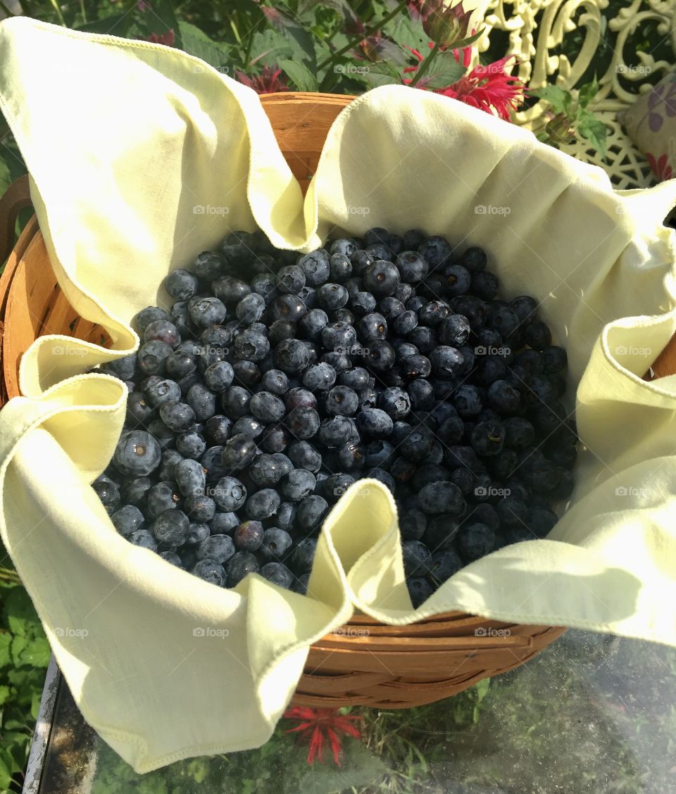 Fresh batch of blueberries