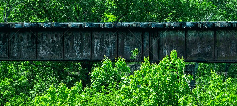 train Bridge in woods