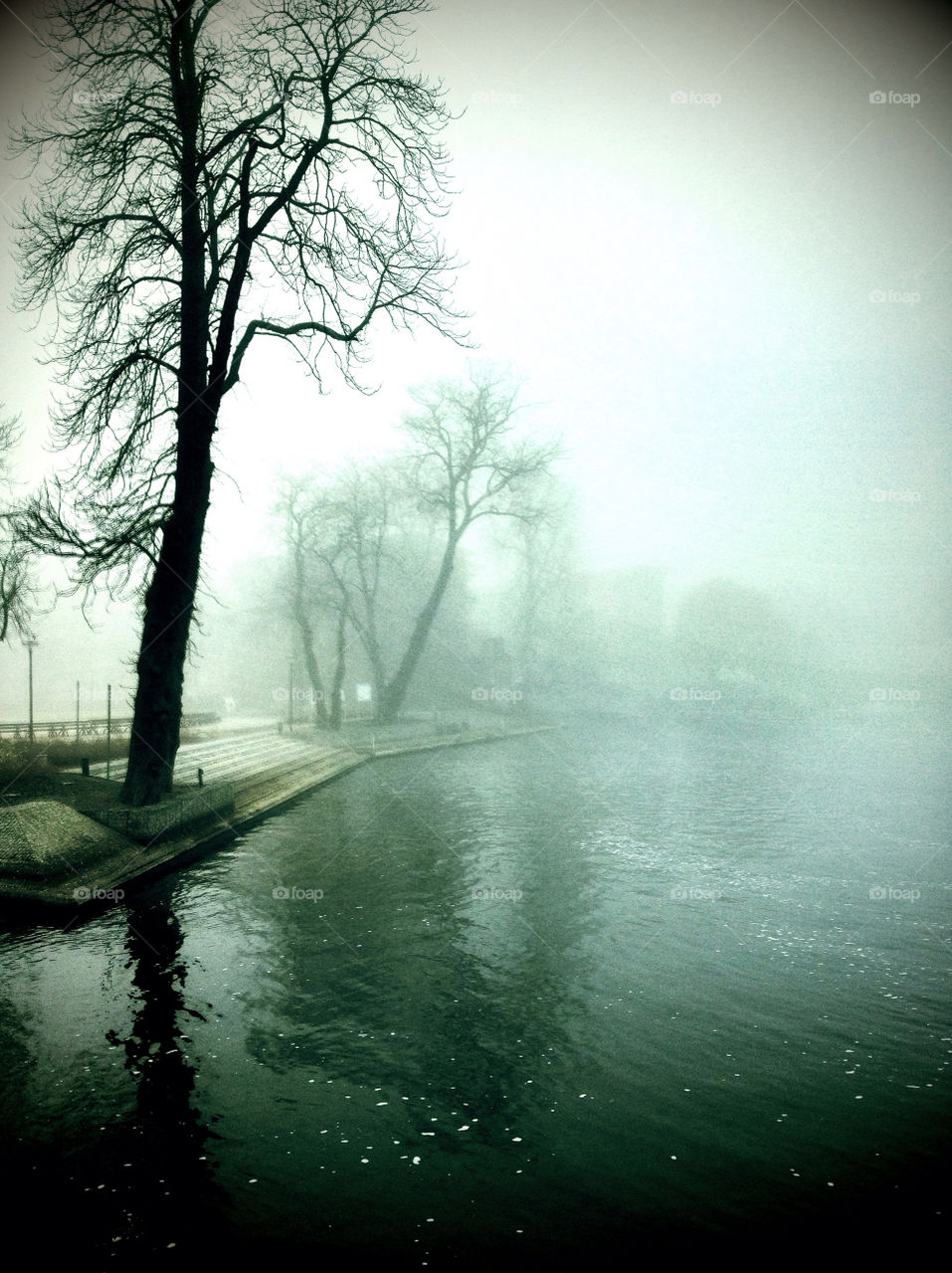 tree water fog boulevard by xhdpit