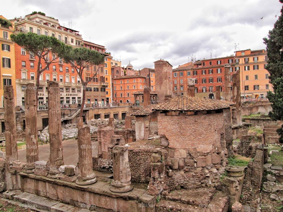 The park of the cats in Rome