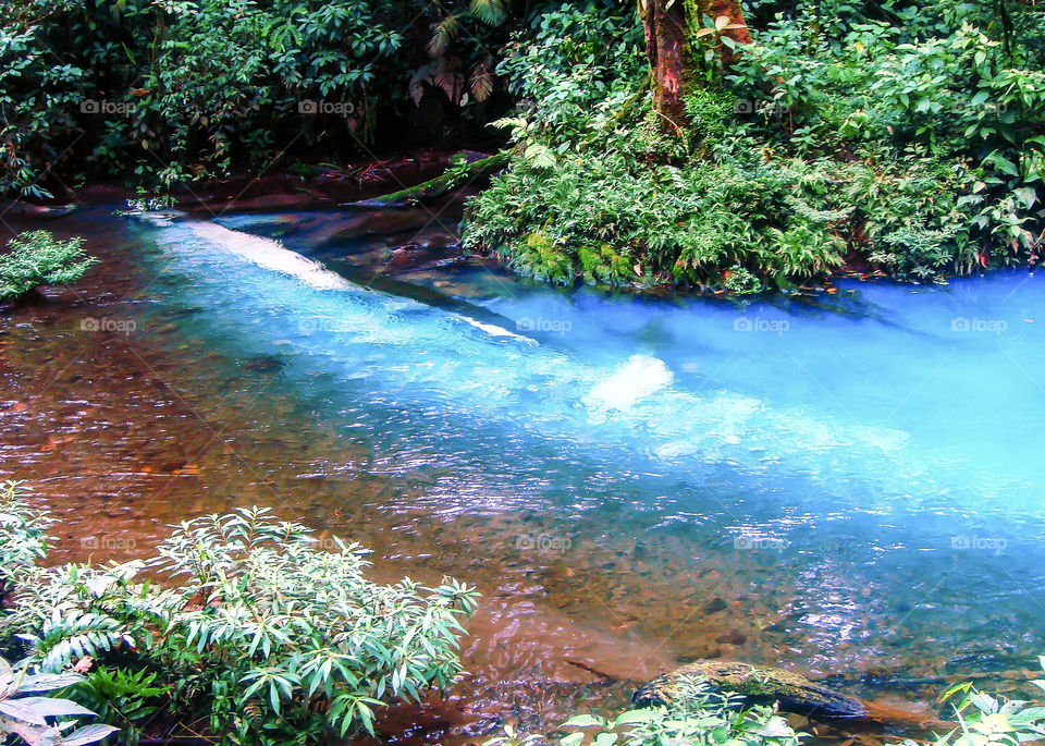 The Celeste River is a river in Costa Rica, located in the canton of Guatuso in the province of Alajuela, within the Tenorio Volcano National Park, in the Arenal-Tempisque Conservation Area. It is formed by the confluence of the Buena Vista and Quebrada Agria rivers on the slopes of the Tenorio volcano. Due to its particular coloration, the result of an optical effect produced by the dispersion of sunlight due to the high concentration of aluminum silicates that its waters possess,  it is an important national and international tourist destination of this Central American country.