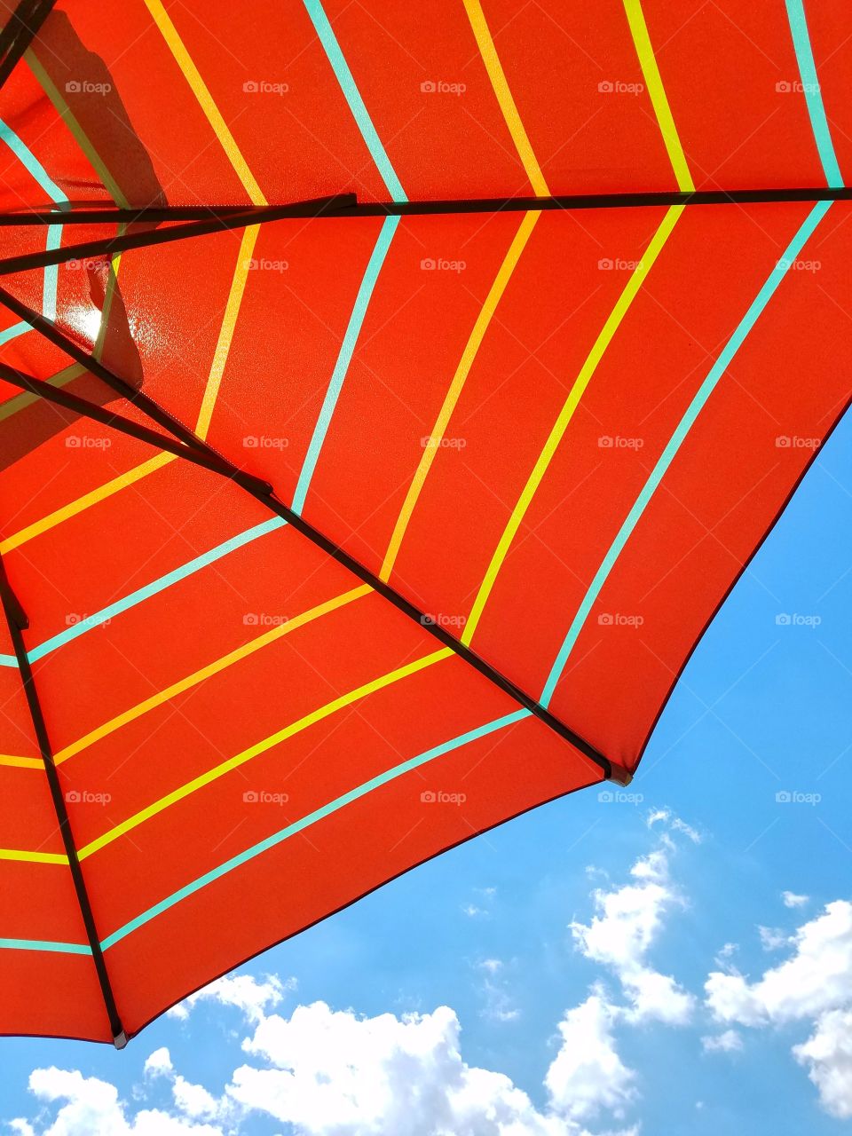 umbrella & strips