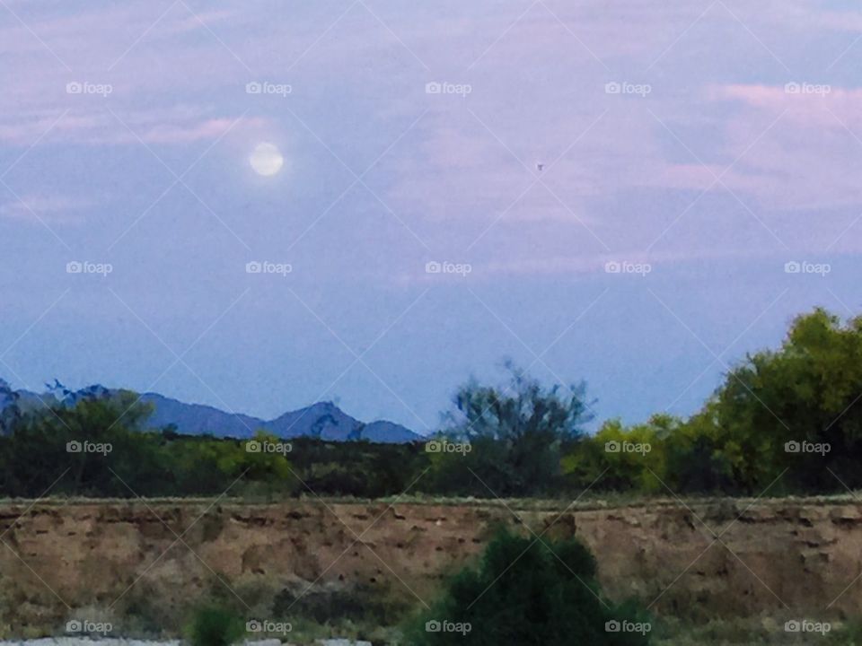 Desert Moon
