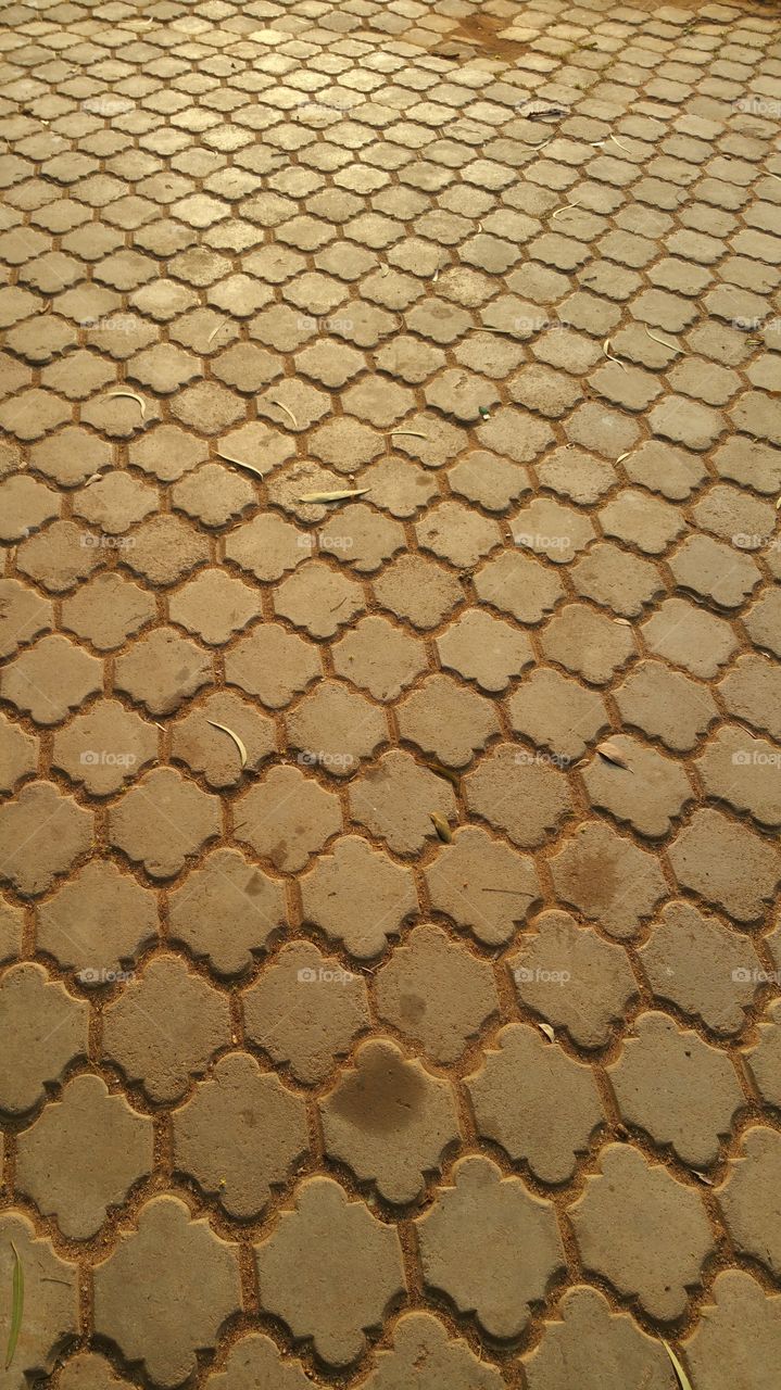 Foot path and the geometry of shape and design