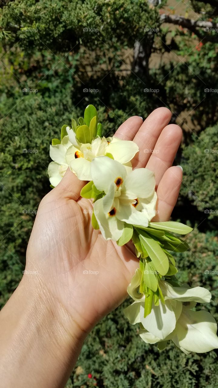 Holding flower crown