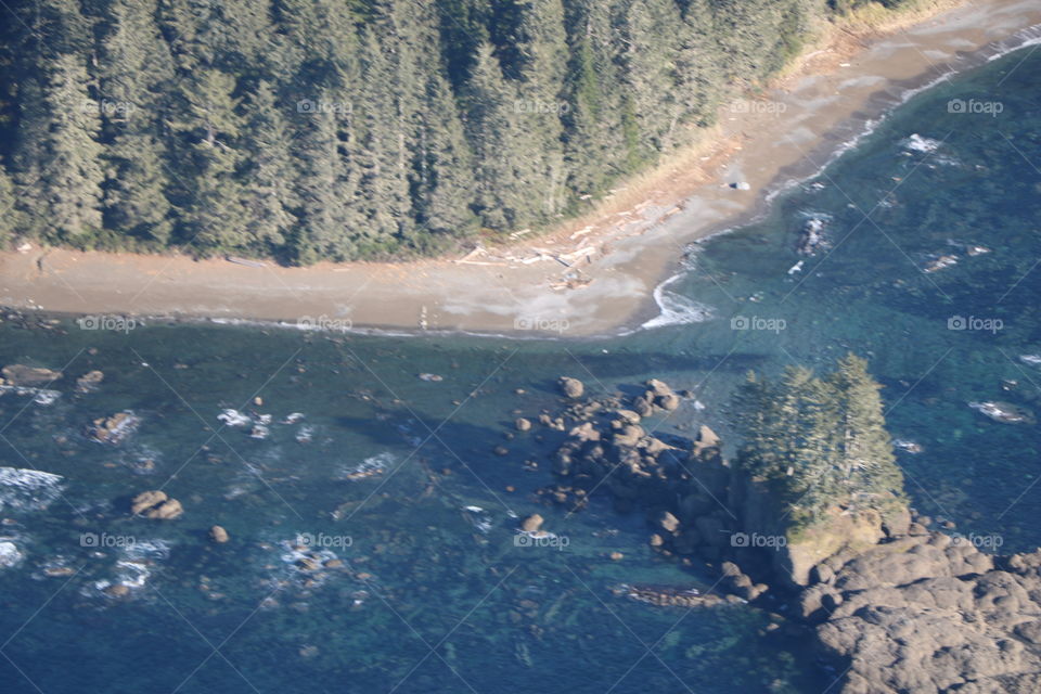 Forest , beach , rocks and blue Pacific , aerial view