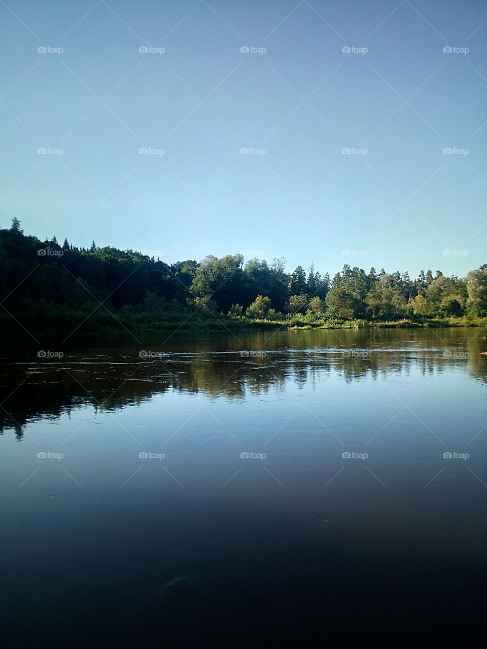 "But the attitude of faith is to let go, and become open to truth, whatever it might turn out to be."  - Alan Watts