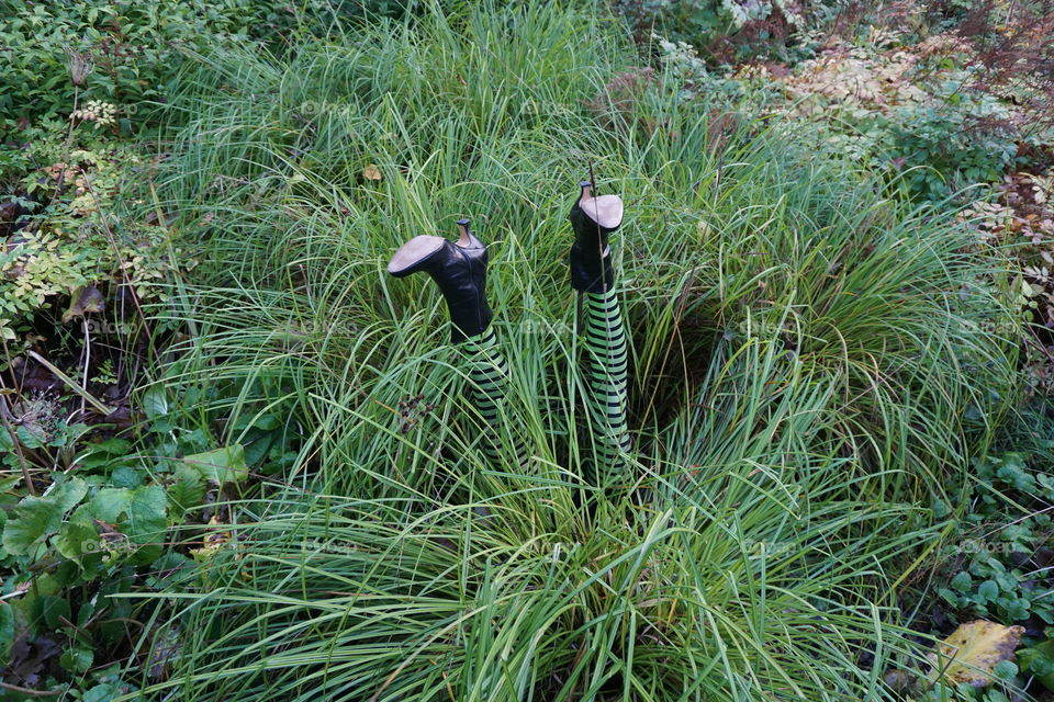 Funny witches feet in the wet bog ... Happy Halloween 🎃