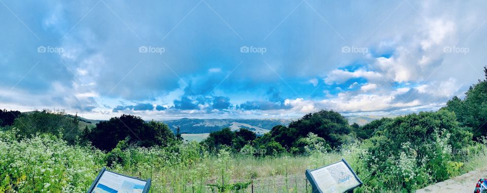 Berkeley hiking spot