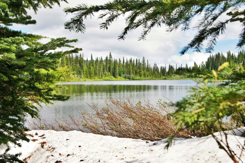 Lake in Washington