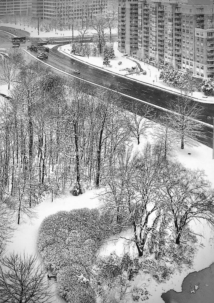 Snow falls in the city 