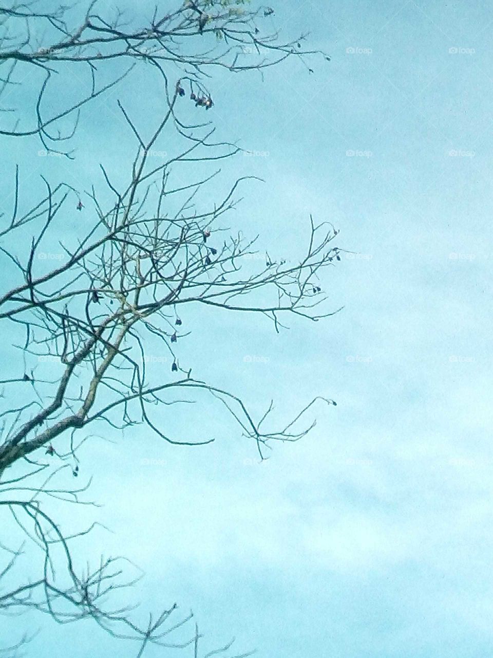 when we take action we see an love the pictures we take an we enjoy what we see just look how wonderful they are.