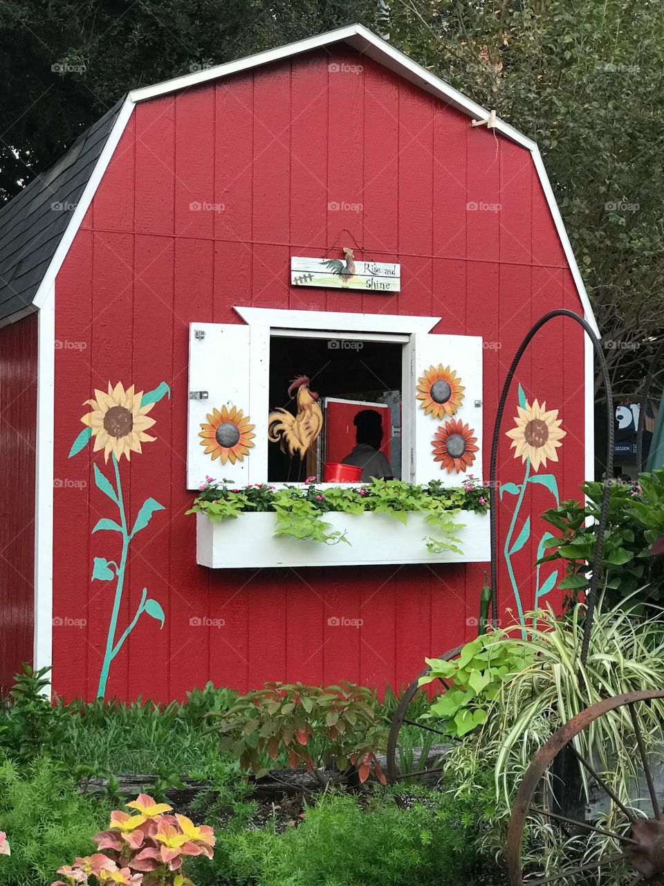 House, No Person, Family, Architecture, Flower