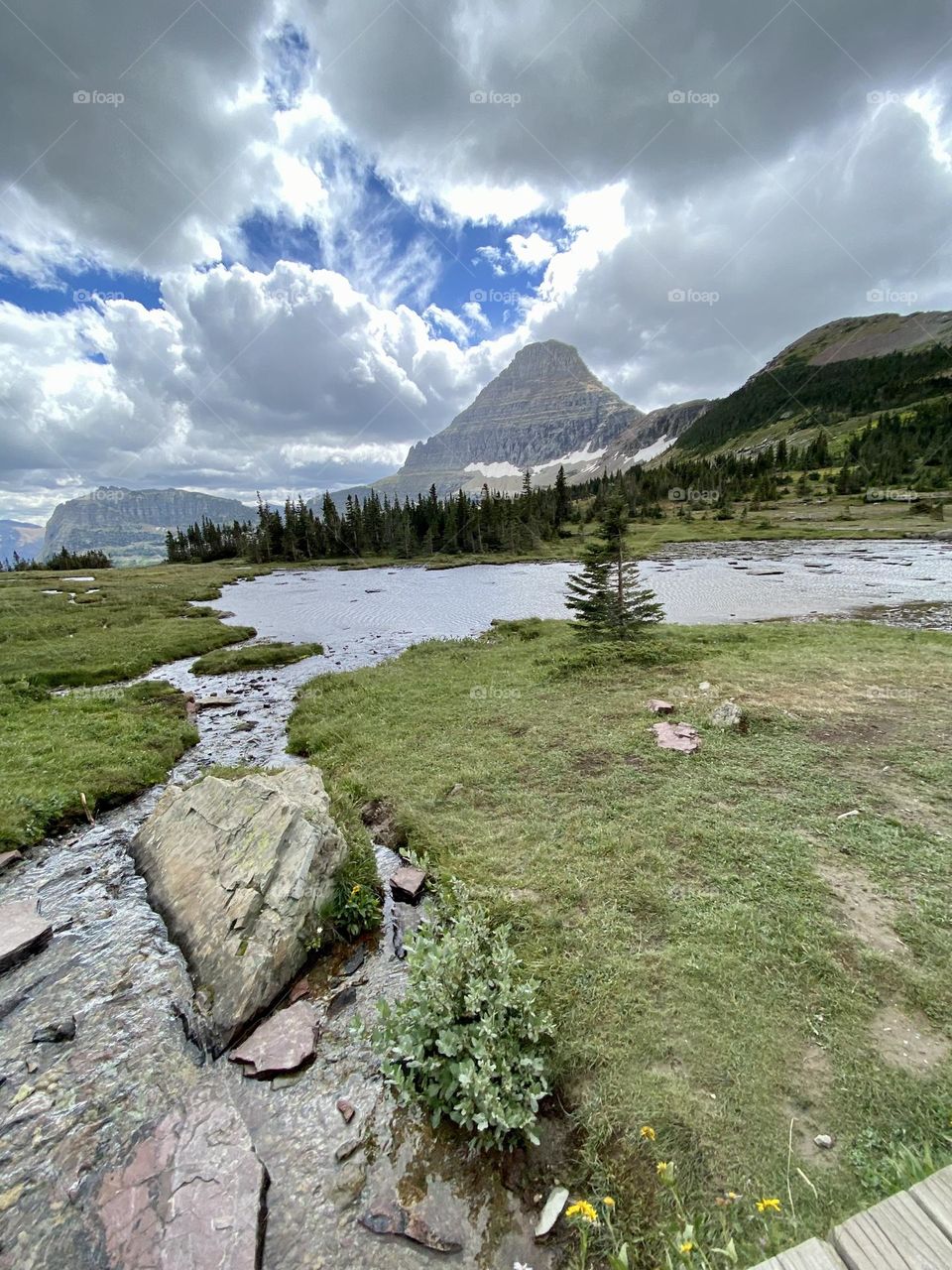 A mountain looms behind a small pond under a cloudy blue sky.