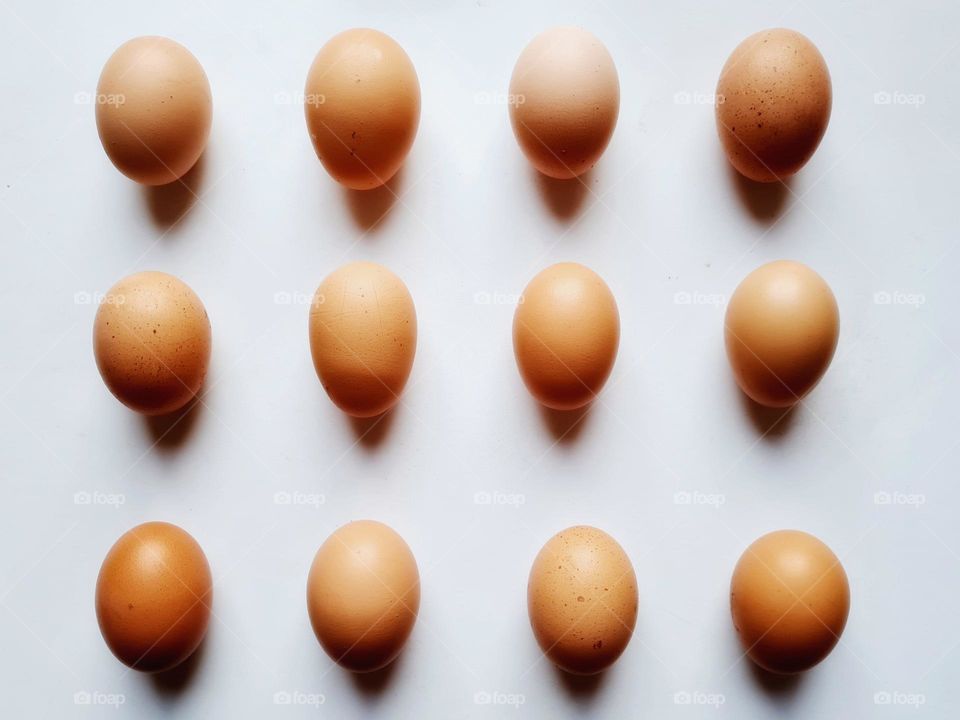 photo of eggs in a row on a white background
