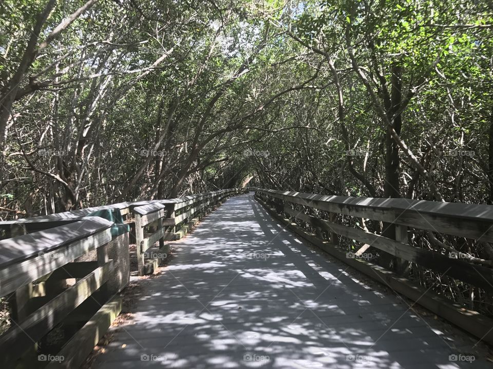 Shadow in the afternoon 