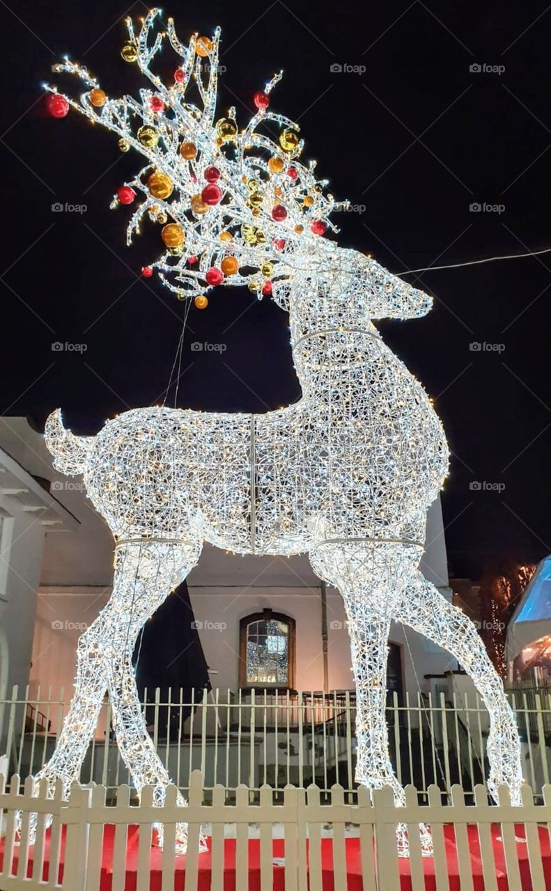 Giant deer with fairy lights at shopping centre