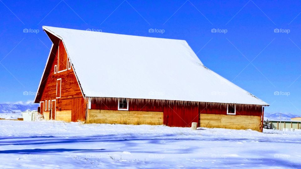red barn